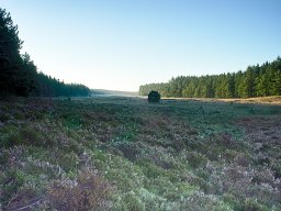 IMGP8403_HDR_Morgenstemning